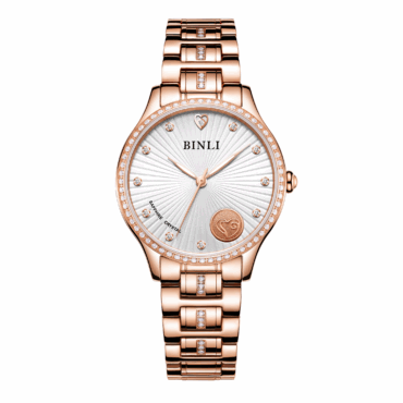 BinLi BX8131L
