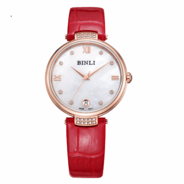 BinLi BX8068L